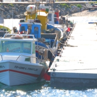 New floating pontoons for Sesimbra Port